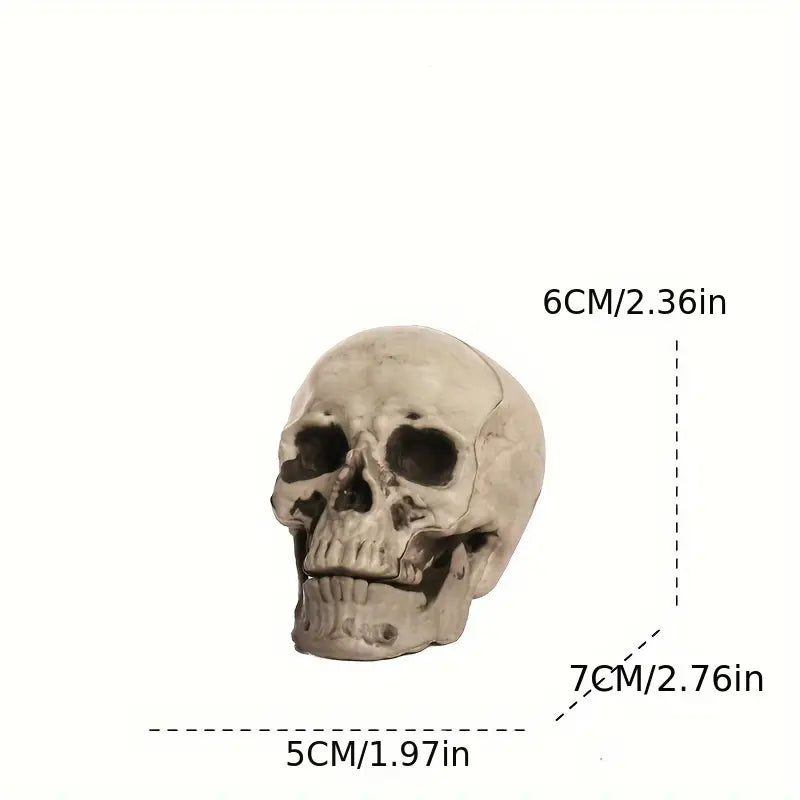 Creepy Skull Props – Haunted House Décor (10 Pieces)