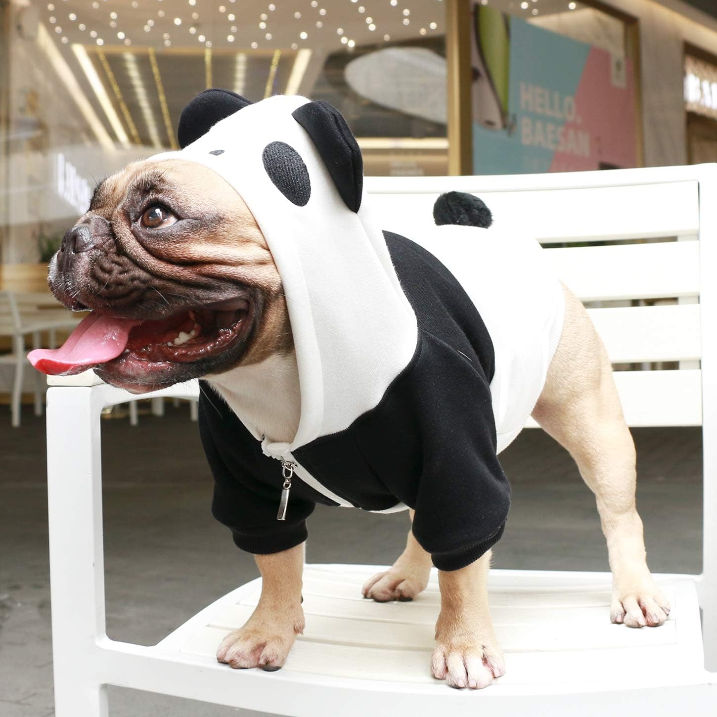 Panda Dog Halloween Costumes Clothes Sweater Cute Funny for English Bulldog Cold Weather Winter Coats Hoodies - Black/Xlarge