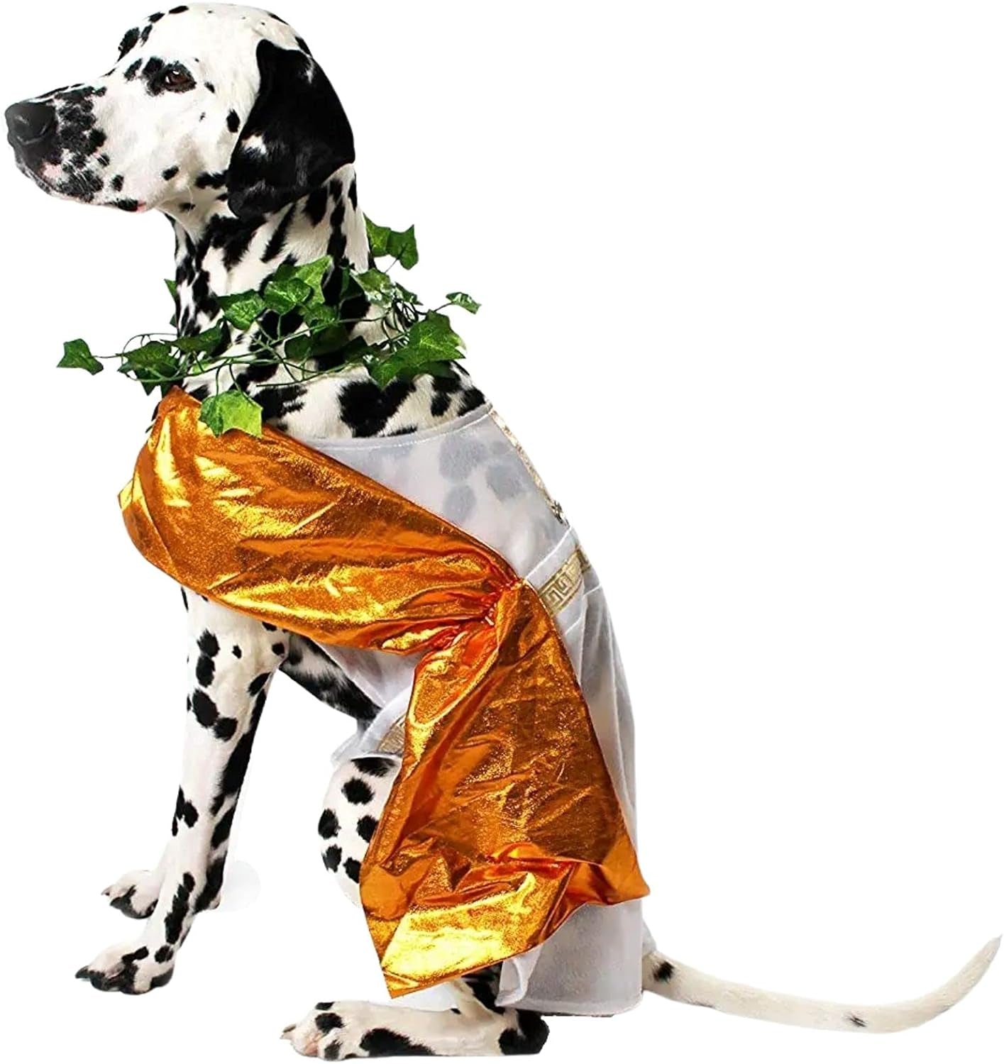 Toga Dog Halloween Costume (X-Large)