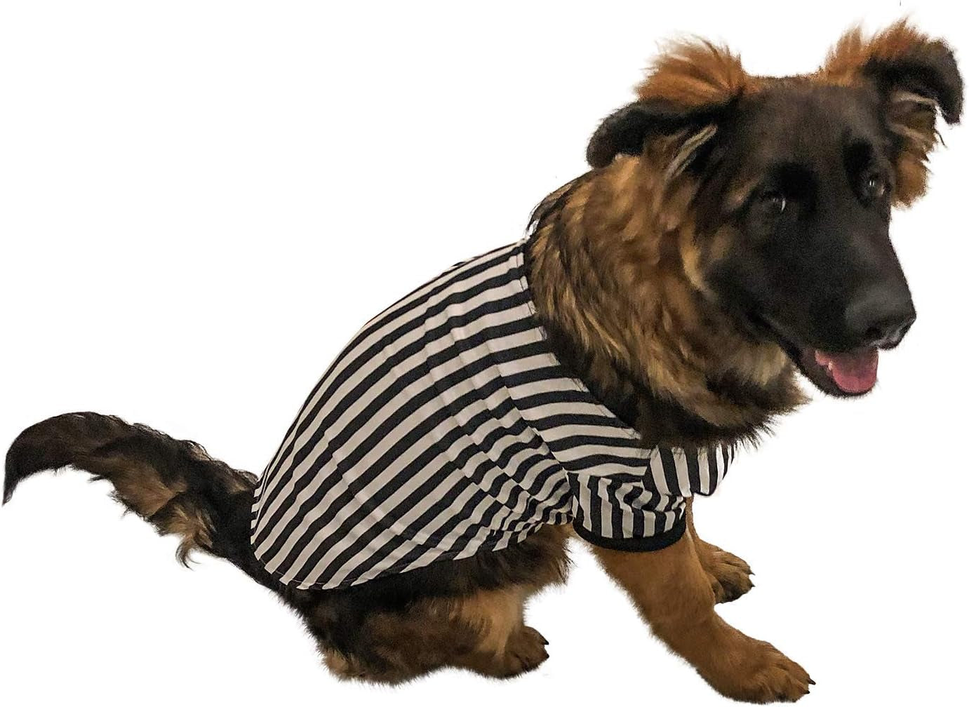 Referee Dog Halloween Costume (Medium)