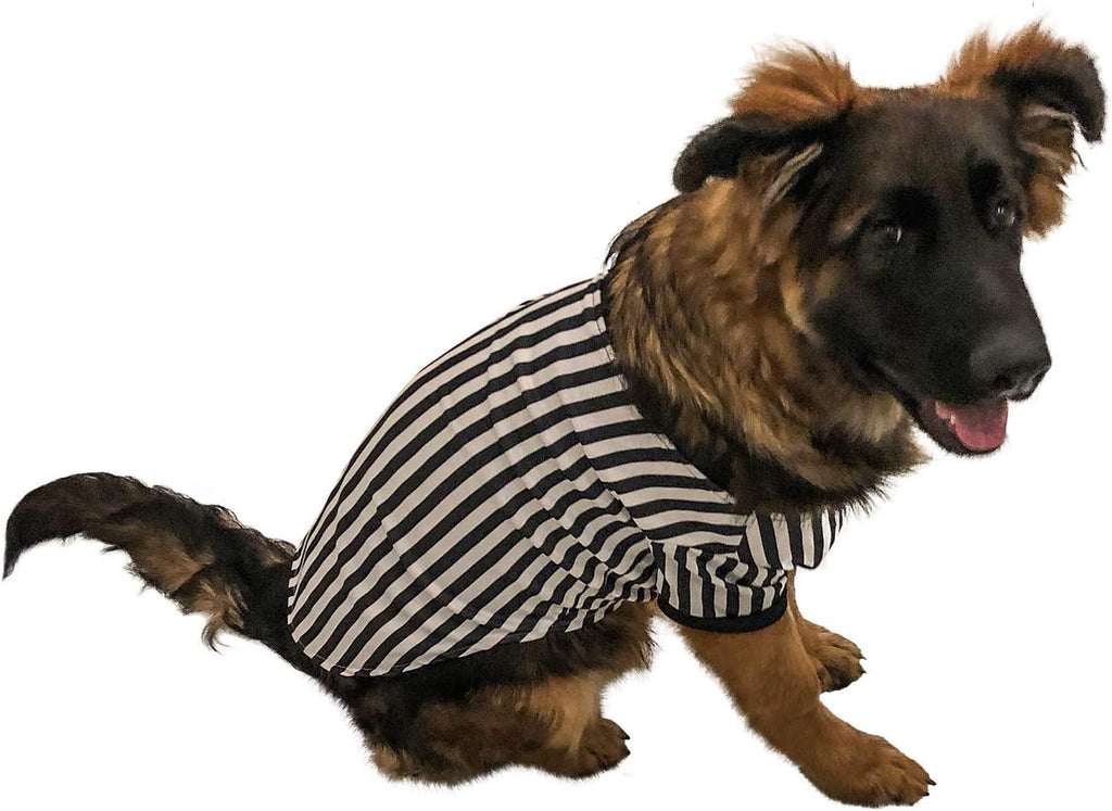 Referee Dog Halloween Costume (Small)